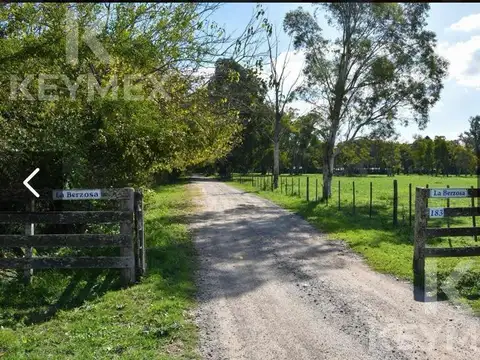 Quinta Alquiler Temporal-Pileta-Parrilla-2 habitaciones La Plata Casi Ruta 36
