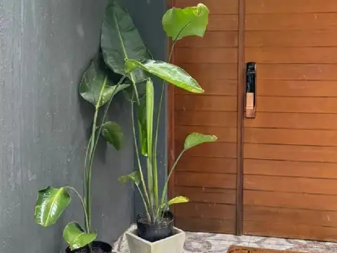 Casa en Alquiler en La Cañada de Pilar - Los Robles, USD 1.500