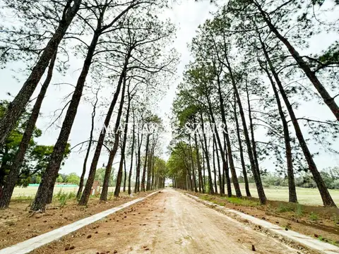 Terreno en Venta de 1018,0 m2