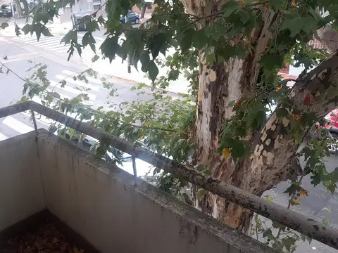 Depto Tipo Casa en Alquiler de 2 ambientes