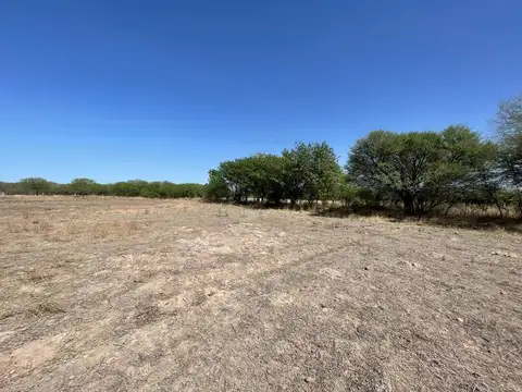 Terreno en Venta de 10000,0 m2