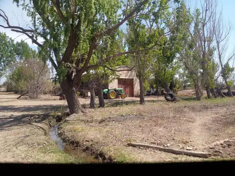 Venta de finca de 80000m2. El Carrizal de Abajo