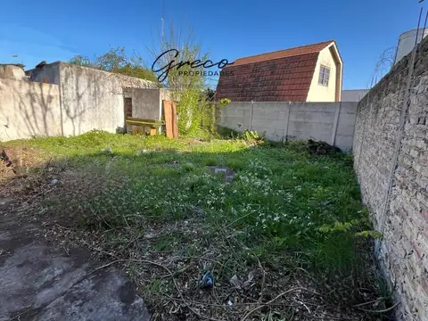 Colliet (a 30 Metros De La Plaza Central Claypole) 500