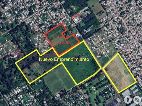 Cabildo al 2000