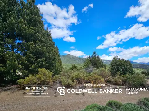 VENTA Lote 1074,30 m2 Meliquina Neuquén