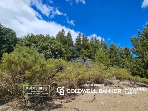 VENTA Lote 1074,30 m2 Meliquina Neuquén