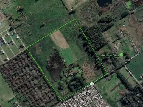 Av. San Fernando  al 1200