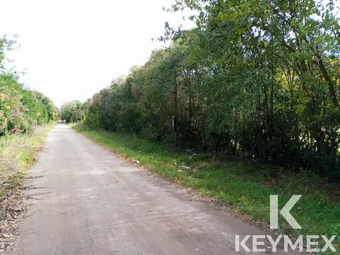 Terreno en Venta en Villa Elisa, USD 110.000