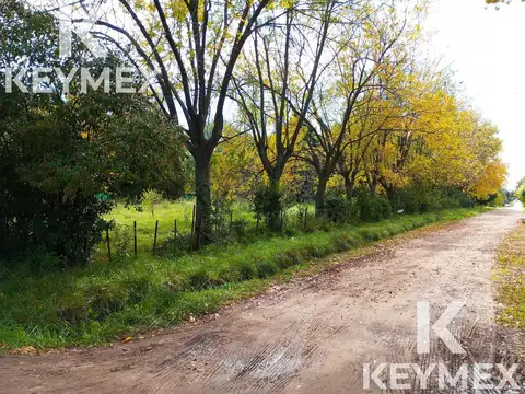 Terreno en Venta 55  mts Fondo