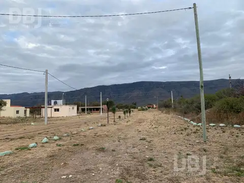 (DBJ-354) SAN FRANCISCO DEL MONTE DE ORO - OPORTUNIDAD