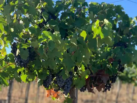 santa lucia , Piso 0