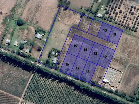 Las Virgenes 100