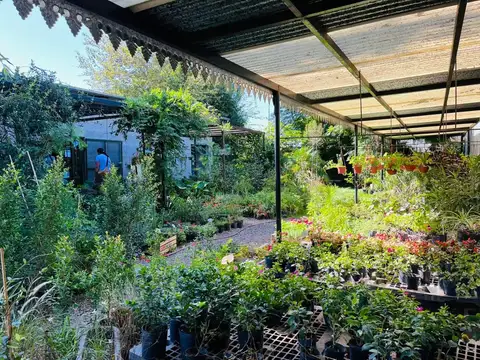 Terreno en Alquiler 30  mts Fondo
