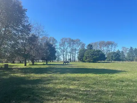 Venta Terreno 1,3 Has Con Financiación C.de Areco