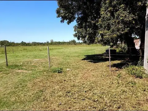 Campo en Pergamino