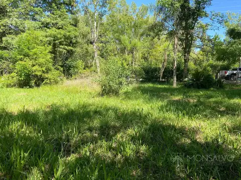 Terreno en Venta 50  mts Fondo