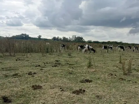 Campo de 190 ha en venta, Marcos Paz.