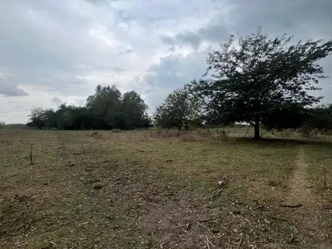Campo de 190 ha en venta, Marcos Paz.