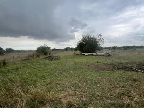 Campo en Venta Agrícola