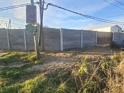 26 de Mayo y Sauce 100