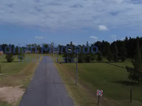 Terreno en Parque Industrial Ecológico de la Cruz - 14000 m2 - Venta