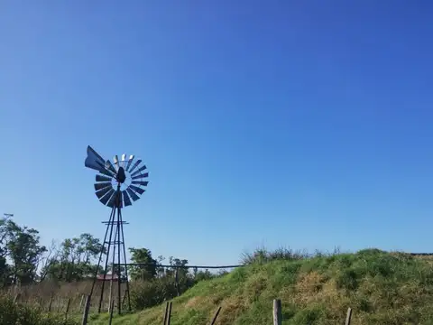 Campo - Venta - Argentina, Veinticinco de Mayo