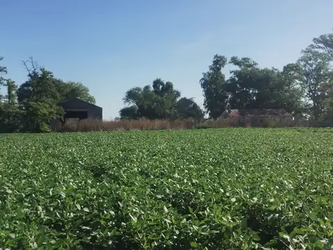 Campo - Venta - Argentina, Veinticinco de Mayo