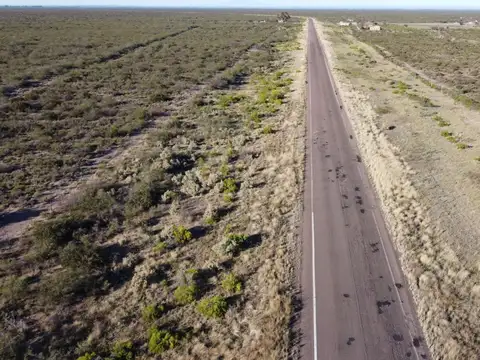 Campo en Venta en Lujan De Cuyo, Lujan de Cuyo
