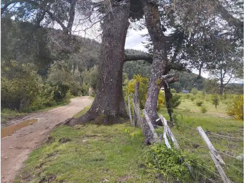 Paraje Rio azul , Piso No definido