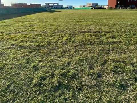 lote  Haras Santa María, El Trébol