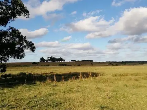 Terreno Campo  en Venta en Jose Ignacio, Punta del Este, Punta del Este / Maldonado