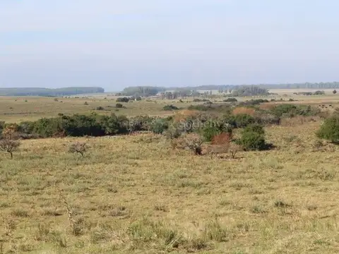 Campo en venta en Polo Medellin, Punta Del Este de 32 hectareas