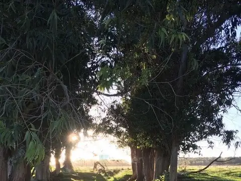 Terreno Campo  en Venta en Jose Ignacio, Punta del Este, Punta del Este / Maldonado