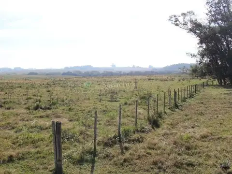 Campo en venta en Polo Medellin, Punta Del Este de 32 hectareas