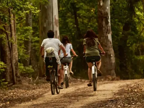 Terreno en Venta de 613,0 m2