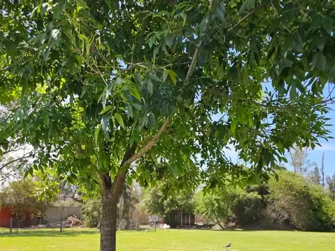 VENTA DE TERRENO EN BARRIO SANTA ISABEL 1 TOMA VEHICULO - FINANCIA Y PERMUTA !!