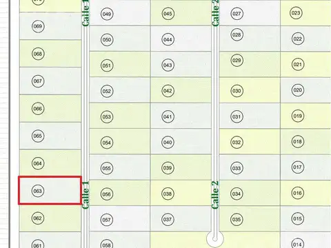 Puente del Inca al 2050