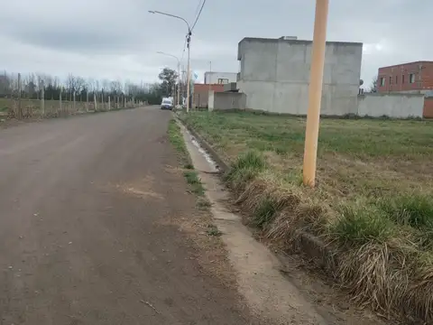 Avellaneda 1600
