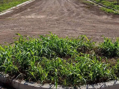 Terreno en Venta 10  mts Frente
