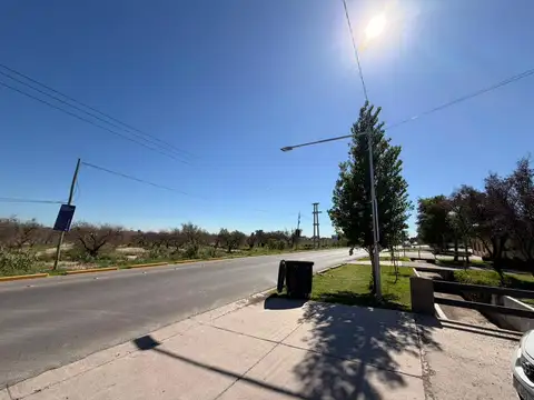 elpidio gonzales y independecia