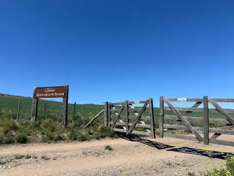 LOTE EN VENTA AGUA DE LOS BAYOS TUPUNGATO MENDOZA