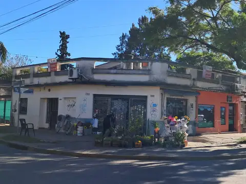Granaderos 300