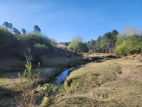 Terreno en Venta, FOT 30