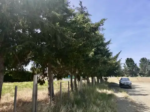 Terreno en Venta de 992,0 m2