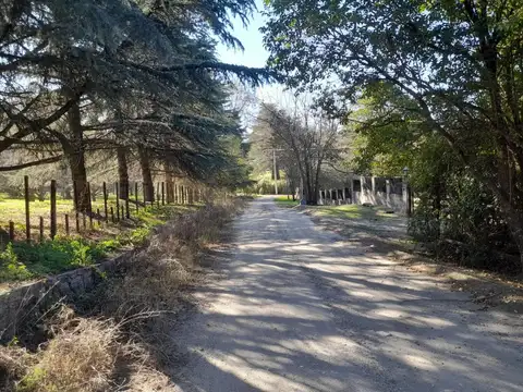 Casa en Venta con 5 cocheras
