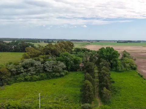 105 Has. Campo Agrícola en San Andrés de Giles