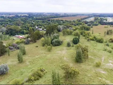 Av Libertador San Martin 11000