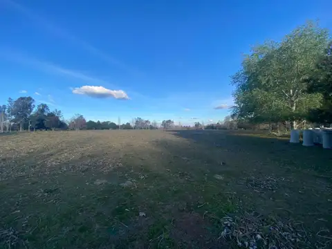 LOTES - BARRIO QUEBRADA DE CARDALES  - Preventa - CARDALES