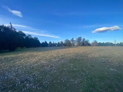 Av Libertador San Martin 11000