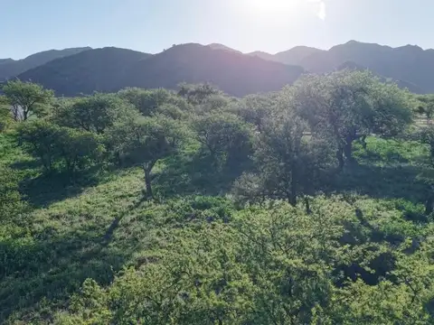 Venta Lote 708m2 barrio Las Rosas 2 juana koslay